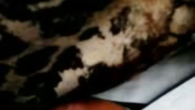 کلی کریستینسن، بازی سکسی ناروتو میلف بلوند خوب، روی یک دیک بزرگ در وضعیت دختر گاوچران می پرد